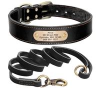 Personalized Anti-Loss With ID Name Phone Number Tag Dog Training Collar Leash Suit Suitable For Poodle Pit Bull Bull Collie,Black,2XS