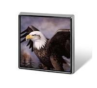 Personalized Bald Eagle Lapel Pin for Men Women Cute Funny Square Brooch for Ease And Safe Aluminum Alloy Brooches Suit Dress Accessories Wedding Party