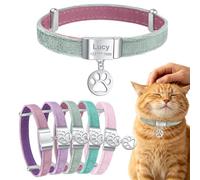 Personalized Breakaway Cat Collars with Magnetic Quick Release Buckle, Velvet Cat Collar Custom Engraved Name Tag for Girls & Boys Cats (A-Light Mint Green)