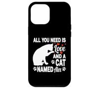Personalized Cat Name Alex Cute Kitten Pet Lover Case for iPhone 12 Pro Max