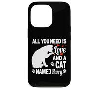 Personalized Cat Name Harry Cute Kitten Pet Lover Case for iPhone 13 Pro
