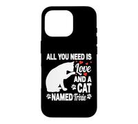 Personalized Cat Name Trixie Cute Kitten Pet Lover Case for iPhone 16 Pro