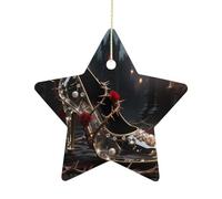Personalized Ceramic Christmas Star Ornament - Glass Slipper & Thorns Double-Sided Star Shaped Tree Ornament, Xmas Tree Hanging Pendant with Gold String for Holiday Home Decoration