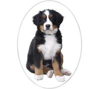 Personalized Ceramic Photo Picture Frame Porcelain Portrait Plaque for Headstone Graves Indoor Headstone Picture Monument Portrait Ornament Color Photo Oval Memorial Tile (Oval - 4.2x6.1in)