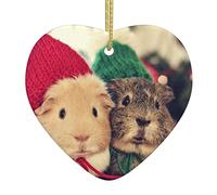 Personalized Christmas Ornaments 2024 Ceramic Ornaments Cute Guinea Pigs Printed Heart Office Christmas Decorations for Tree