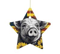 Personalized Christmas Ornaments 2025 2.7 Inch Ceramic Ornament with Gold Hanging String Double-Sided Sunflower Pets Xmas Tree Decoration & Keepsake Gift for Party Holiday Present Exchange-Star