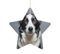 Personalized Christmas Ornaments 2025 2.7 Inch Ceramic Ornament with Gold Hanging String Double-Sided Border Collie Xmas Tree Decoration & Keepsake Gift for Party Holiday Present Exchange-Star