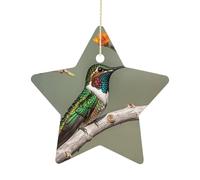 Personalized Christmas Ornaments 2025 2.7 Inch Ceramic Ornament with Gold Hanging String Double-Sided A Hummingbird Xmas Tree Decoration & Keepsake Gift for Party Holiday Present Exchange-Star