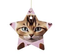 Personalized Christmas Ornaments 2025 2.7 Inch Ceramic Ornament with Gold Hanging String Double-Sided Carttoon Cat Xmas Tree Decoration & Keepsake Gift for Party Holiday Present Exchange-Star
