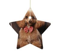 Personalized Christmas Ornaments 2025 2.7 Inch Ceramic Ornament with Gold Hanging String Double-Sided Poodle Xmas Tree Decoration & Keepsake Gift for Party Holiday Present Exchange-Star