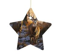 Personalized Christmas Ornaments 2025 2.7 Inch Ceramic Ornament with Gold Hanging String Double-Sided Deers Picture Xmas Tree Decoration & Keepsake Gift for Party Holiday Present Exchange-Star