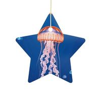 Personalized Christmas Ornaments 2025 2.7 Inch Ceramic Ornament with Gold Hanging String Double-Sided Jellyfish Academy Xmas Tree Decoration & Keepsake Gift for Party Holiday Present Exchange-Star
