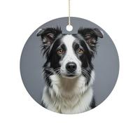 Personalized Christmas Ornaments 2025 3 Inch Ceramic Ornament with Gold Hanging String Double-Sided Border Collie Xmas Tree Decoration & Keepsake Gift for Party Holiday Present Exchange