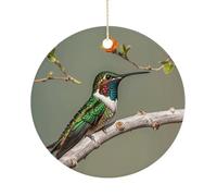 Personalized Christmas Ornaments 2025 3 Inch Ceramic Ornament with Gold Hanging String Double-Sided A Hummingbird Xmas Tree Decoration & Keepsake Gift for Party Holiday Present Exchange