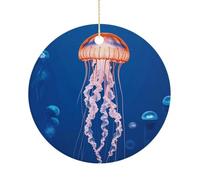 Personalized Christmas Ornaments 2025 3 Inch Ceramic Ornament with Gold Hanging String Double-Sided Jellyfish Academy Xmas Tree Decoration & Keepsake Gift for Party Holiday Present Exchange