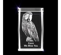 Personalized Custom 3D Photo Engraved Crystal Pet Gift (Large Rectangle)