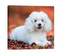 Personalized Custom Canvas Photo Prints - Canvas Wall Art for Home Decor, Bedroom, Living Room (20cm x 20cm With Frame)