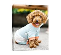 Personalized Custom Canvas Photo Prints - Canvas Wall Art for Home Decor, Bedroom, Living Room (30cm x 40cm With Frame)