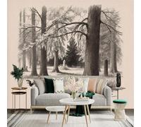 Personalized Customization Wall Sticker Mural，Forest Trees Vintage Sketch Artwork，Removable SelfAdhesive Wall Fabric Large Photo Wallpaper for Living Room Bedroom