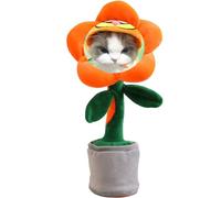 Personalized Dancing Flower with Custom Photo Face,Customized Singing Dancing Talking Repeat Your Words,Interactive Baby Educational Soft toys for Kids Battery version gift bag (E)