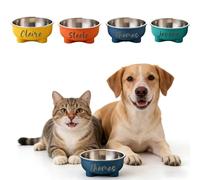 Personalized Dog Bowls with Name, Double Layer Pet Food Water Dish with Custom Name Engraving, Stainless Steel Food Water Bowl for Small Dog Puppy Cat, Non Slip