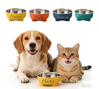 Personalized Dog Bowls with Name, Double Layer Pet Food Water Dish with Custom Name Engraving, Stainless Steel Food Water Bowl for Small Dog Puppy Cat, Non Slip
