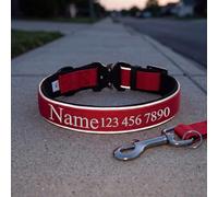 Personalized Dog Collar, Embroidered Pet ID Collar with Name & Contact Info