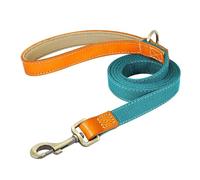 Personalized Dog Collar Genuine Leather Nylon Dog Collar And Leash Set Durable Adjustable ID Collar(Blue leash,L)