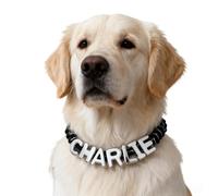 Personalized Dog Collar Gift Custom with Acrylic Name Letters Adjustable Braided Rope Pet Collar for Small Medium Large Dogs Cats Fashion Stylish Customized Pet Gift 7-22 Inch Black White