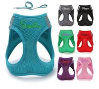 Personalized Dog Harness with Leash,Personalized No Pull Dog Harness and Leash Set,Custom Names,Pet Vest Harnesses for Small Medium Large Dogs and Cats,Pet Gift (S)