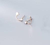 Personalized Earrings,S925 Stud Earrings, Ladies Fashion Asymmetrical Earrings with Moon, Stars and Diamonds &Rose, 925
