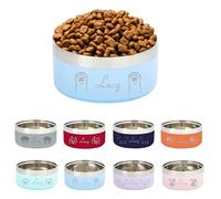 Personalized Engraved Name Pet Bowl, Custom Stainless Steel Cat and Dog Dual-Use Bowl, Durable Double-Layer Design with Reinforced Non-Slip Base, Perfect as a Special Pet Gift (Light Blue)
