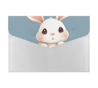 Personalized Folder for Office, Cartoon Cute Bunny File Folders with 6 Pack Pockets for Home, Portable File Jacket for Business, Expandable Folder for Organizing Paper