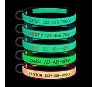 Personalized Glow in The Dark Dog Collar, Custom Embroidered with Pet Name & Phone Number, Night Safety Adjustable Luminous Collar for Small Medium Large Dogs, Multiple Colors & Sizes