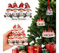 Personalized Gnome Christmas Decorations 2025 - Family of 2/3/4/5/6 Custom Name Ornament - Festive Text Resin Xmas Tree Decorations - Customized Keepsake Gift for Family (Custom Christmas Gnome)