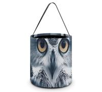 Personalized Halloween Treat Tote Bag Reusable Candy Bucket Party Supplies | Grey And White Owl Candy Handbag Multipurpose Portable Collapsible Halloween Trick or Treat Bag Large Goodie Bags