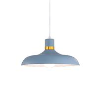 Personalized LED Industrial Hanging LightRomantic Single Head Dome nt Ceiling Fixture for Restaurant Dining Room Kitchen Bar Bedroom