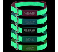 Personalized Luminous Dog Collar with Engraved Name Plate, Glow-in-the-Dark Nylon Collar, Safety Quick Release Buckle, Custom Phone Number ID Tag for Small Medium Large Dogs(UV printing)