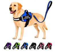 Personalized No Pull Dog Harness Lead Set with Custom Name Phone Number,Heavy Duty Reflective Pet Vest to Prevent Tugging Choking Training and Walking,for Puppy Small Medium Large X-large Dogs