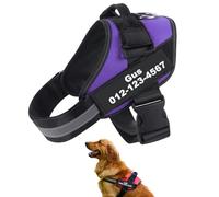 Personalized No Pull Dog Harness with Custom Name & Phone Number - Heavy Duty Reflective Dog Vest, Adjustable Anti Pull Design to Stop Choking for Training Walking, Fits S M L Dogs (Purple)