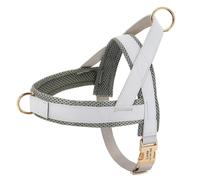 Personalized No Pull Soft Mesh Breathable Nylon Anti-lost Dog Walking Harness Vest For Shiba Inu Bulldog Labrador,GRAY,S