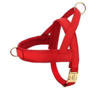 Personalized No Pull Soft Mesh Breathable Nylon Anti-lost Dog Walking Harness Vest For Shiba Inu Bulldog Labrador,Red,S