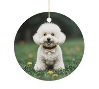Personalized Ornaments for Xmas Tree, Bichon Frise Dog on The Grass Hanging Ornament for Winter Holiday Indoor Decor, Custom Picture Ceramic Christmas Ornament, Christmas Decorations