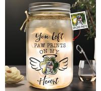 Personalized Pet Memorial Mason Jar Light - Custom Photo Dog/Cat Sympathy Gift, LED Jar Lamp for Loss of Pet Remembrance, Perfect Christmas Bereavement Present (Version 7)