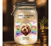 Personalized Pet Memorial Mason Jar Light - Custom Photo Dog/Cat Sympathy Gift, LED Jar Lamp for Loss of Pet Remembrance, Perfect Christmas Bereavement Present (Version 8)