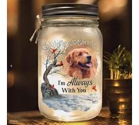 Personalized Pet Memorial Mason Jar Light - Custom Photo Dog/Cat Sympathy Gift, LED Jar Lamp for Loss of Pet Remembrance, Perfect Christmas Bereavement Present (Version 2)