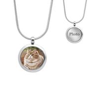 Personalized Pet Memorial Necklace With Photo & Ashes Holder - Custom Engraved Stainless Steel Locket Pendant For Loss Of Dog Cat - Unique Gift For Pet Owners (Silver)