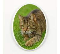 Personalized Pet Memorial Stones, Eternal Porcelain Photo with Vivid Portraits Color Text, Gifts for Someone Who Lost a Loved One, or Pet, Dog, Cat (Mini)