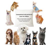 Personalized Pet/People/Picture Shaped Pillow, Perfect For Birthdays, Anniversaries, Thanksgiving, Christmas, Valentine's Day & Halloween - Unique Gift Solution For Missing Loved Ones (18~20cm)