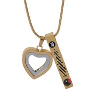 Personalized Pet Urn Ashes Necklace Stainless Steel Pet Urn Pendant Engraved Pet Dog or Cat Picture Music Code Heart-shaped Projection Memorial Pendant with Filling Kit (Gold)